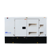 Diesel Generator 